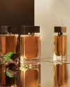 The One for Men Eau de Toilette